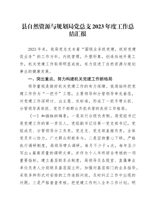 县自然资源与规划局党总支2023年度工作总结汇报
