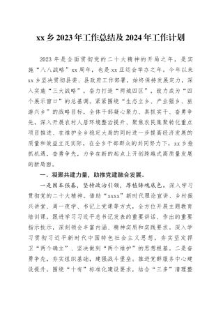 乡2023年工作总结及2024年工作计划（20231121）