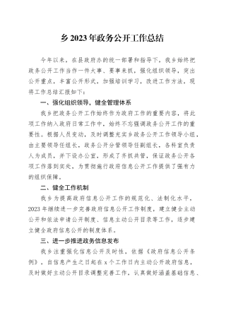 乡2023年政务公开工作总结（20231213）