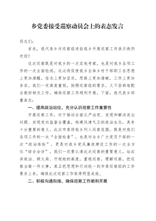 乡党委接受巡察动员会上的表态发言