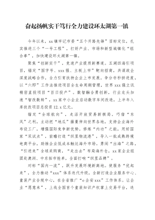 乡镇街道（街道）党委书记工作交流会发言合集