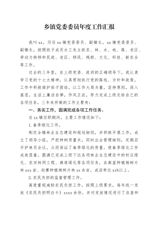 乡镇街道党委委员年度工作汇报
