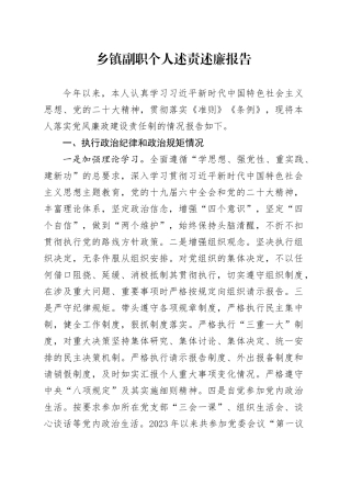 乡镇街道副职个人述责述廉报告