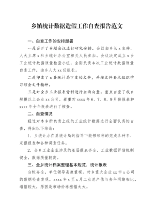 乡镇街道统计数据造假工作自查报告汇报总结
