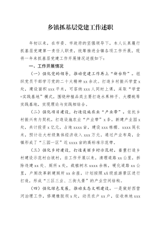 乡镇街道抓基层党建工作述职