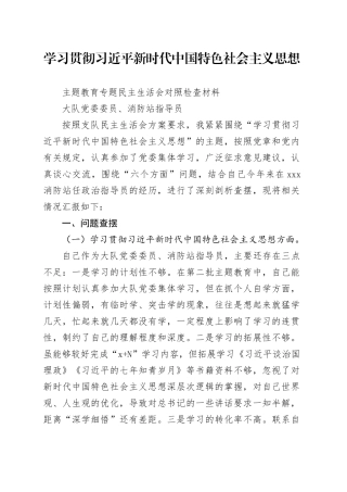 消防大队党委第二批主题教育专题民主生活会个人对照检查剖析材料