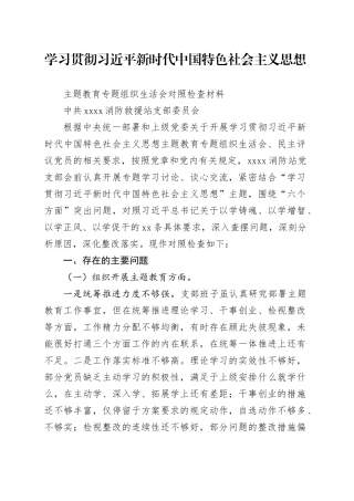 消防救援站党支部第二批主题教育专题组织生活会班子对照检查剖析材料