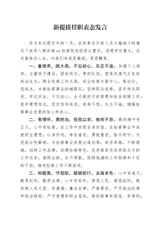 新提拔任职表态发言