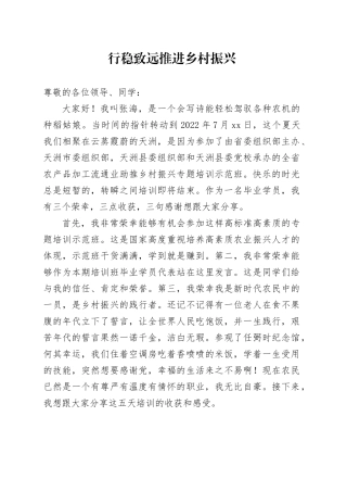 行稳致远 推进乡村振兴