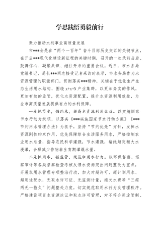 学思践悟勇毅前行聚力推动水利事业高质量发展