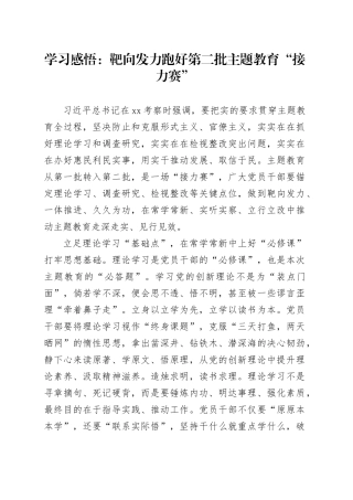 学习感悟：靶向发力跑好第二批主题教育“接力赛”