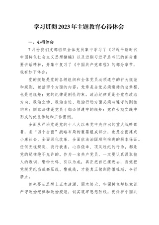 学习贯彻2023年主题教育心得体会 -2