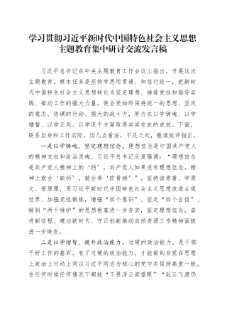 学习贯彻习近平新时代中国特色社会主义思想主题教育集中研讨交流发言稿