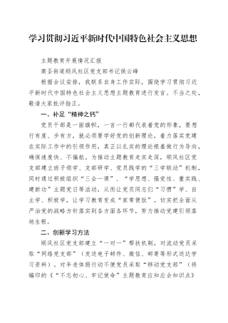 学习贯彻习近平新时代中国特色社会主义思想主题教育开展情况汇报