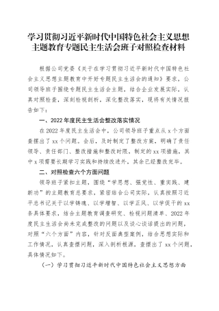 学习贯彻习近平新时代中国特色社会主义思想主题教育专题民主生活会班子对照检查材料