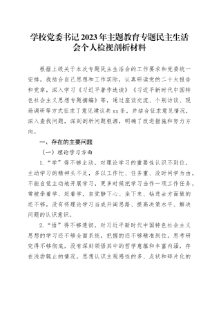 学校党委书记2023年主题教育专题民主生活会个人检视剖析材料