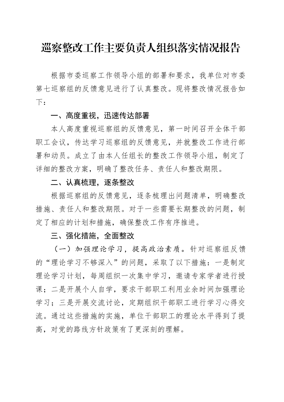 巡察整改工作主要负责人组织落实情况报告_第1页