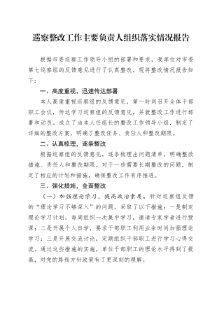 巡察整改工作主要负责人组织落实情况报告
