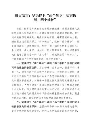 研讨发言：坚决捍卫“两个确立” 切实做到“两个维护”
