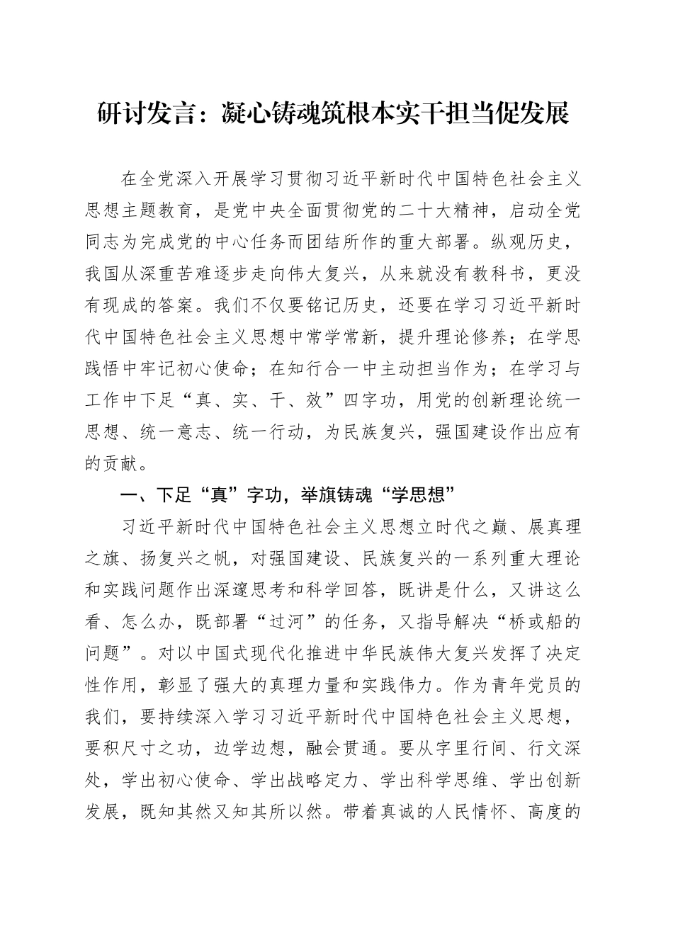 研讨发言：凝心铸魂筑根本 实干担当促发展_第1页