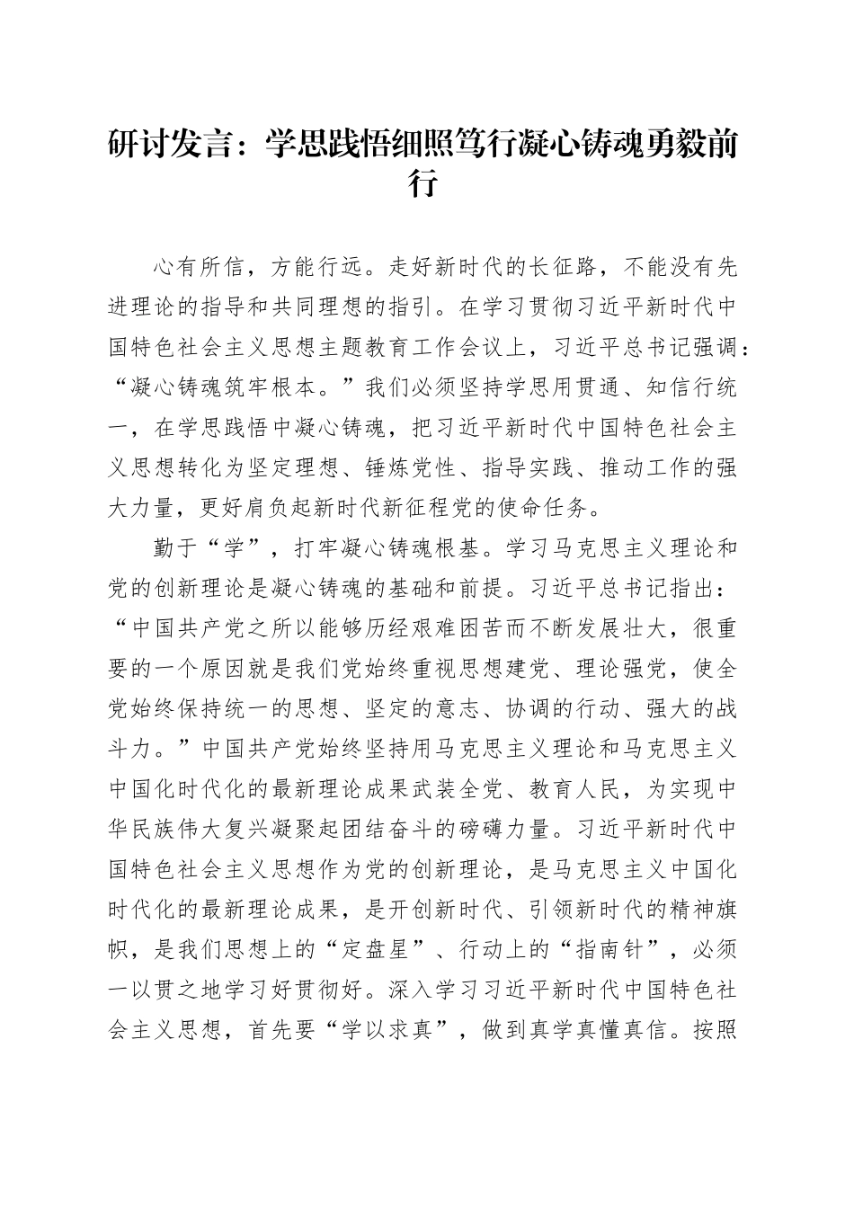 研讨发言：学思践悟细照笃行凝心铸魂勇毅前行_第1页