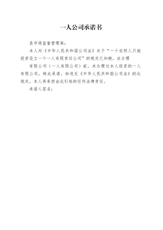 一人公司承诺书