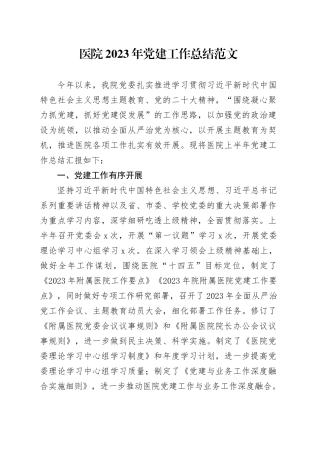 医院2023年党建工作总结汇报报告231211