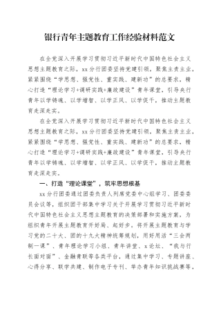 银行青年第二批主题教育工作经验材料年轻干部总结汇报报告1129