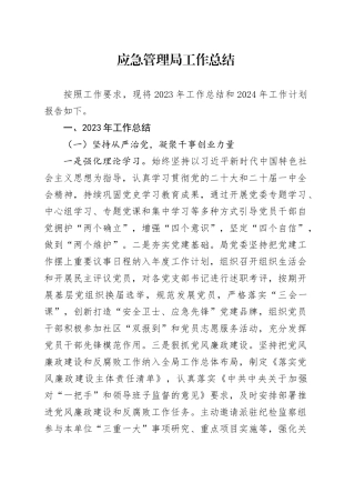 应急管理局工作总结