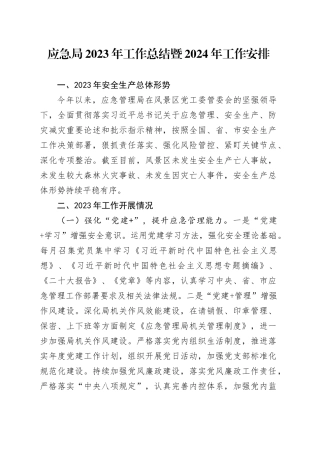应急局2023年工作总结暨2024年工作安排（20231201）