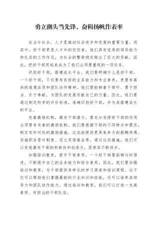 勇立潮头当先锋，奋楫扬帆作表率