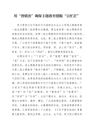 用“智质治”确保主题教育摆脱“盲忙茫”