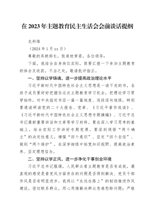 在2023年主题教育民主生活会会前谈话提纲