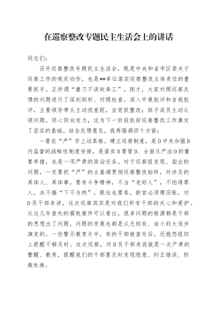 在被巡察单位整改专题民主生活会上的讲话