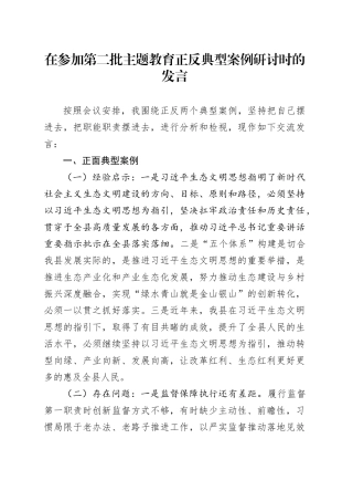 在参加第二批主题教育正反典型案例研讨时的发言