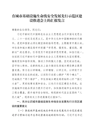 在城市基础设施生命线安全发展先行示范区建设推进会上的汇报发言