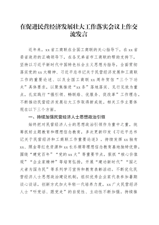 在促进民营经济发展壮大工作落实会议上作交流发言