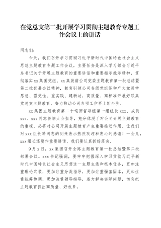 在党总支第二批开展学习贯彻主题教育专题工作会议上的讲话