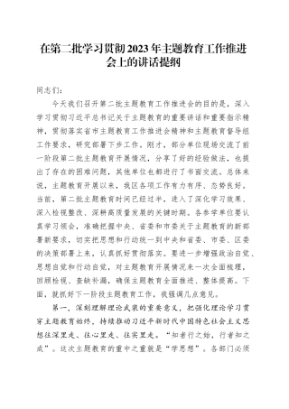 在第二批学习贯彻2023年主题教育工作推进会上的讲话提纲