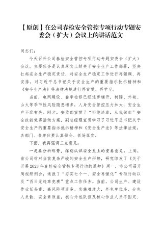 在公司春检安全管控专项行动专题安委会扩大会议上的讲话国有企业生产电网供电