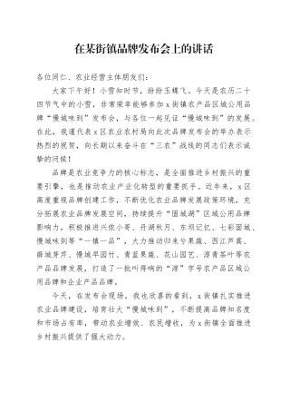 在某街镇品牌发布会上的讲话