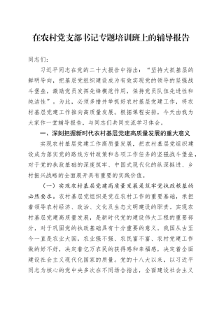 在农村党支部书记专题培训班上的辅导报告