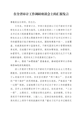 在全省审计工作调研座谈会上的汇报发言