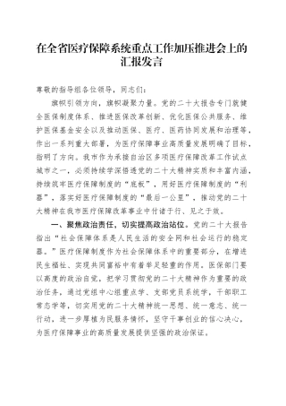 在全省医疗保障系统重点工作加压推进会上的汇报发言