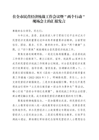 在全市民营经济统战工作会议暨＂两个行动＂现场会上的汇报发言