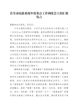 在全市民政系统年度重点工作调度会上的汇报发言