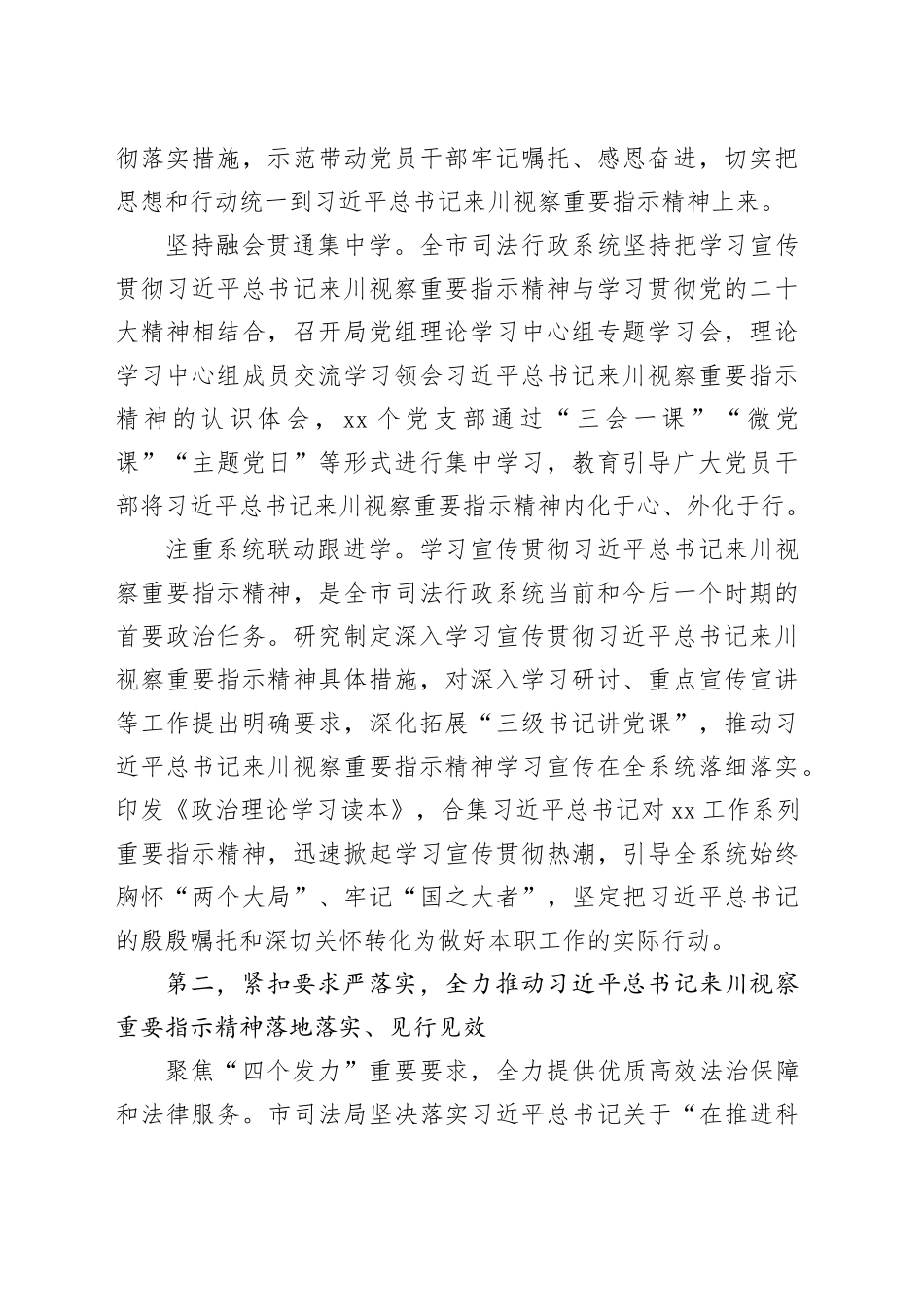 在全市政法工作年度重点任务推进会上的汇报发言_第2页