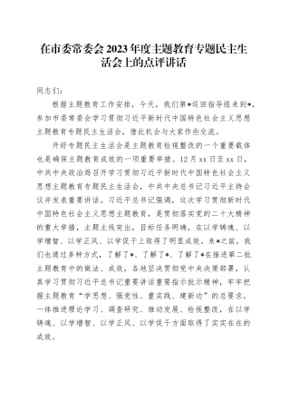 在市委常委会2023年度主题教育专题民主生活会上的点评讲话