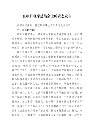 在项目观摩总结会上的表态发言 （2）