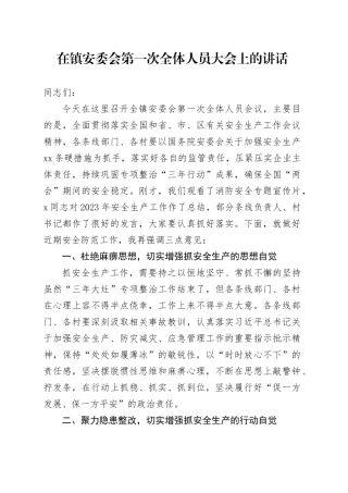 在镇安委会第一次全体人员大会上的讲话